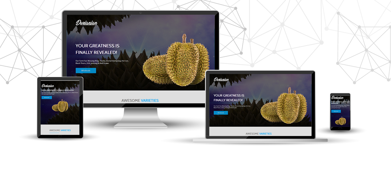 website design