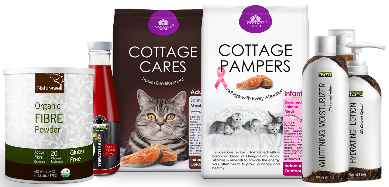 packaging design